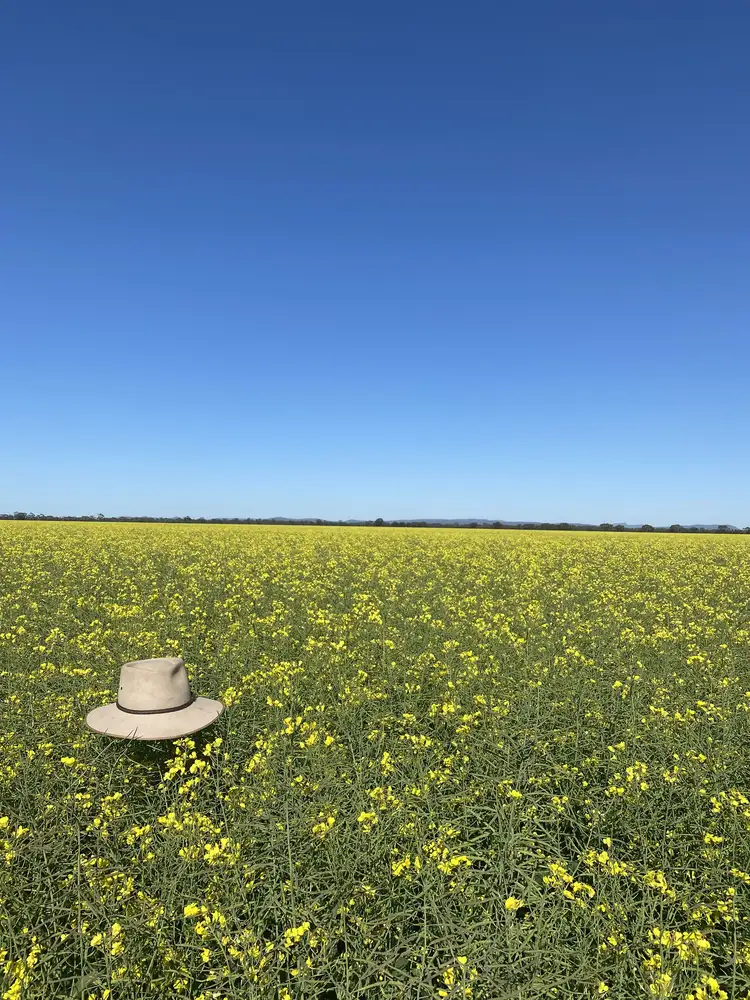 Fourth view of Homely rural property listing, 1 Thomas Lane, Lake Cargelligo NSW 2672