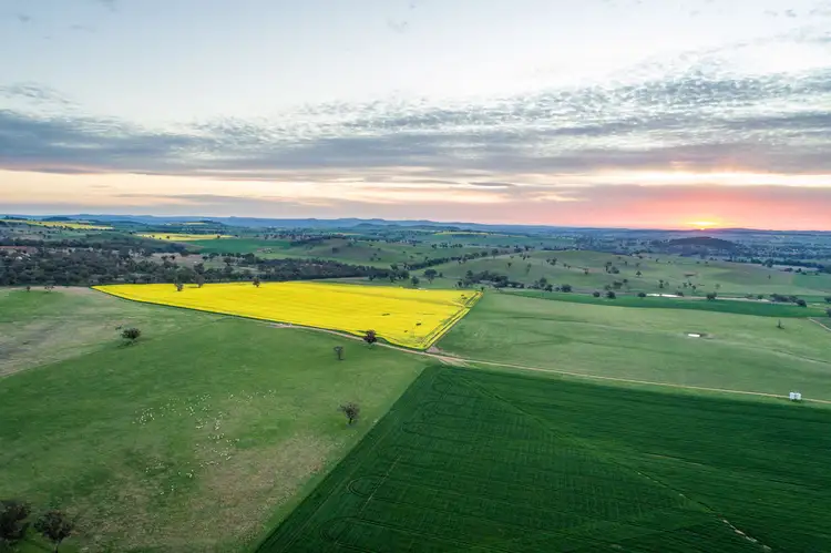 Main view of Homely rural property listing, 3941 Belubula Way, Canowindra NSW 2804