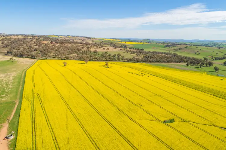 Second view of Homely rural property listing, 3941 Belubula Way, Canowindra NSW 2804