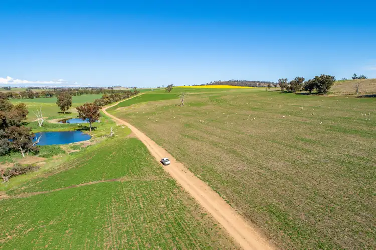 Third view of Homely rural property listing, 3941 Belubula Way, Canowindra NSW 2804
