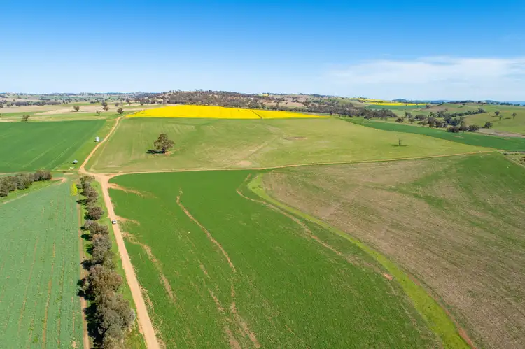 Fourth view of Homely rural property listing, 3941 Belubula Way, Canowindra NSW 2804