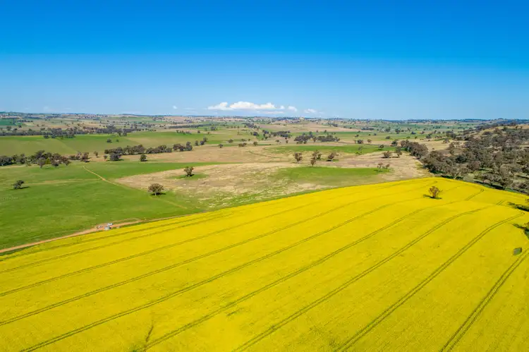 Sixth view of Homely rural property listing, 3941 Belubula Way, Canowindra NSW 2804