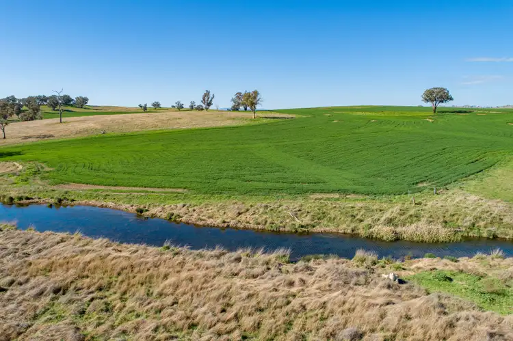 Seventh view of Homely rural property listing, 3941 Belubula Way, Canowindra NSW 2804