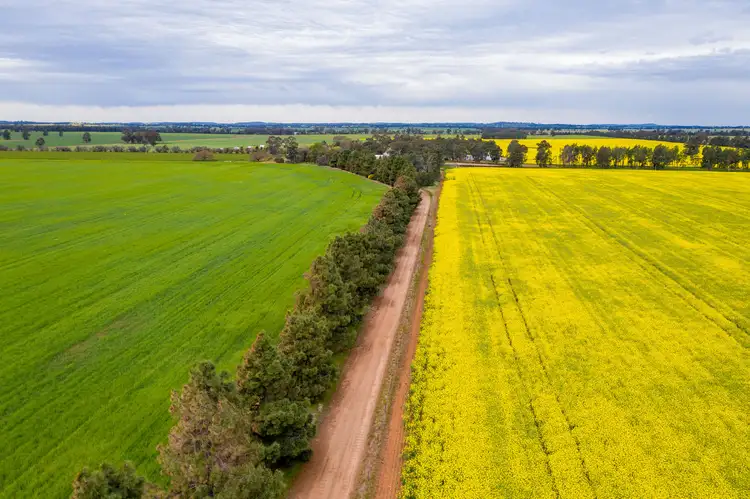 Main view of Homely rural property listing, 208 Roping Pole Road, Ganmain NSW 2702