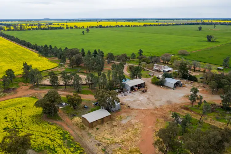 Second view of Homely rural property listing, 208 Roping Pole Road, Ganmain NSW 2702