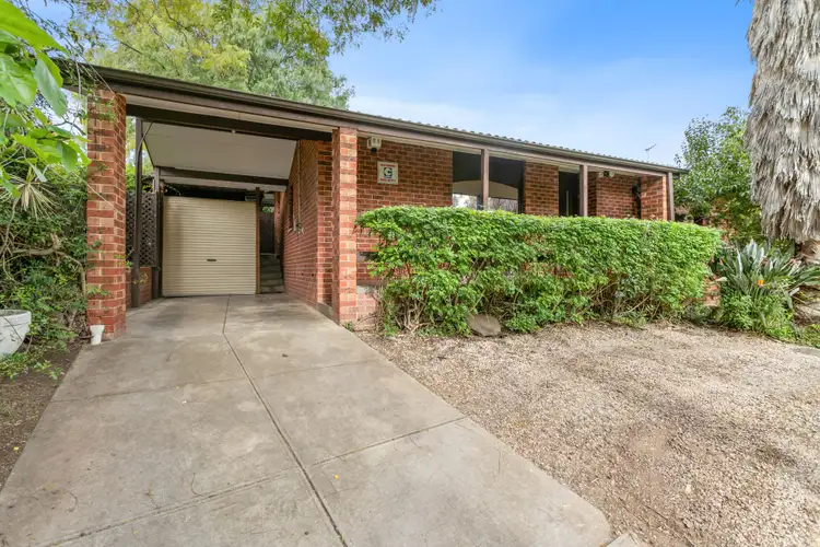 Second view of Homely house listing, 12 Elm Road, Campbelltown SA 5074