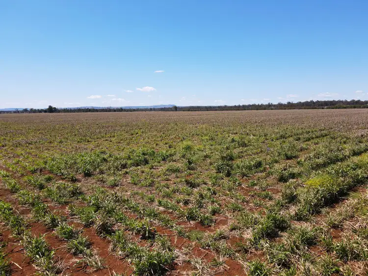 472 Lysdale Road, Greenview, Wondai QLD 4606