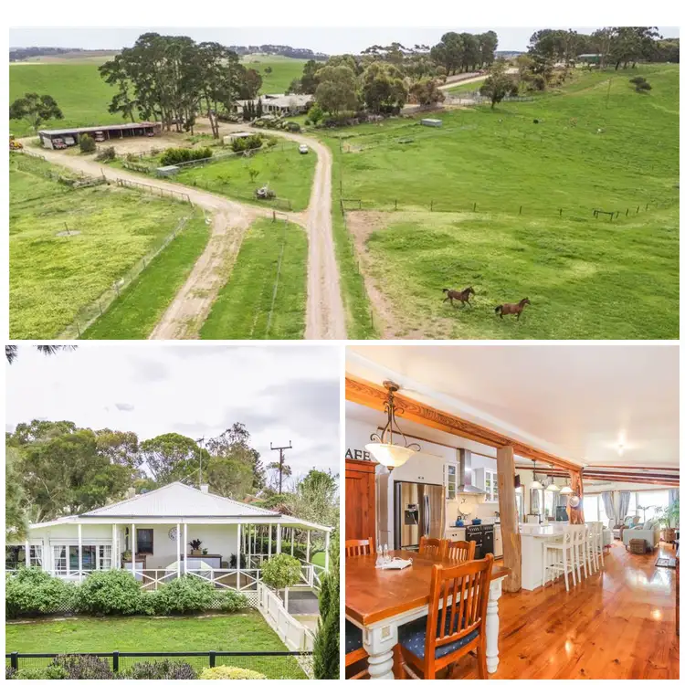 Second view of Homely house listing, 97 Trig Point Road, Mosquito Hill SA 5214