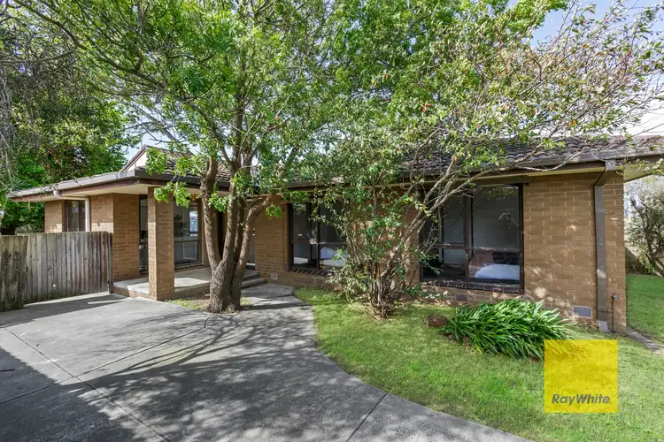 44 Laura Avenue, Belmont VIC 3216