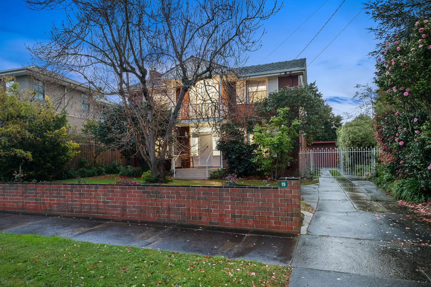 Main view of Homely house listing, 19 Blue Hills Avenue, Mount Waverley VIC 3149