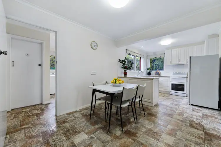 Fourth view of Homely house listing, 19 Blue Hills Avenue, Mount Waverley VIC 3149