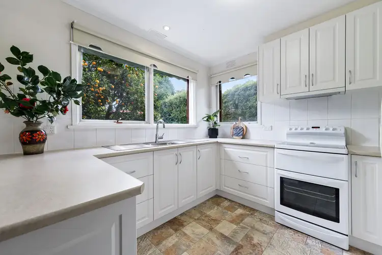 Fifth view of Homely house listing, 19 Blue Hills Avenue, Mount Waverley VIC 3149