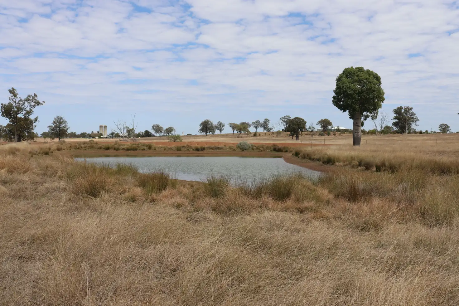 Main view of Homely land listing, 110 Benhams Road, Mundubbera QLD 4626