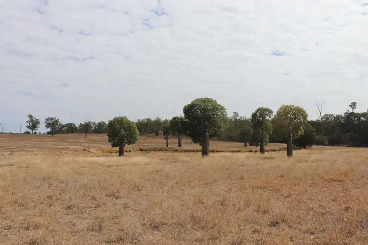 Fourth view of Homely land listing, 110 Benhams Road, Mundubbera QLD 4626
