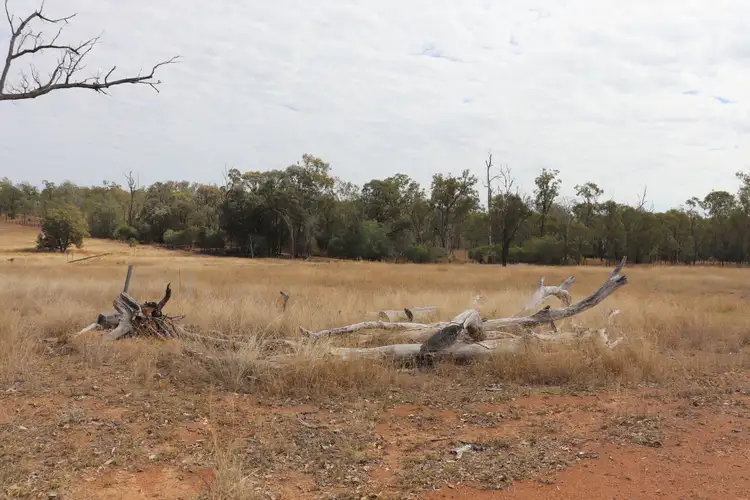 Fifth view of Homely land listing, 110 Benhams Road, Mundubbera QLD 4626