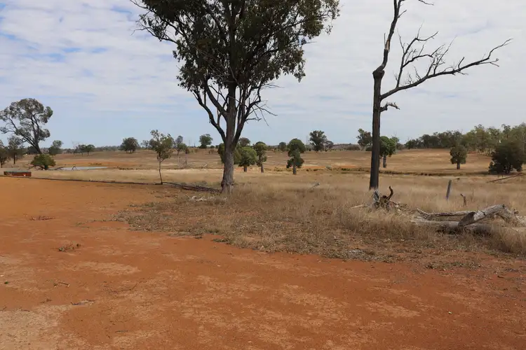 Seventh view of Homely land listing, 110 Benhams Road, Mundubbera QLD 4626