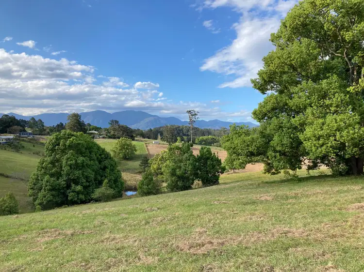 Second view of Homely land listing, 124 Hydes Creek Road, Bellingen NSW 2454
