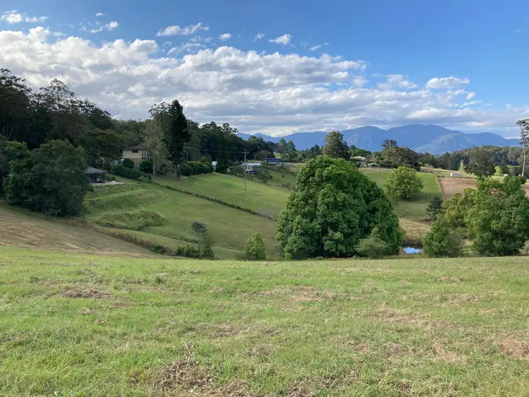 Third view of Homely land listing, 124 Hydes Creek Road, Bellingen NSW 2454