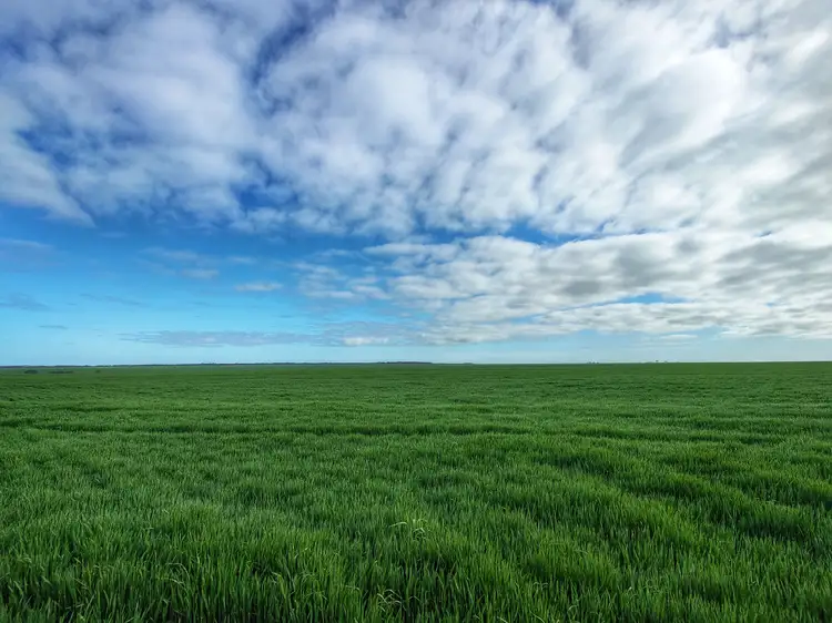 Second view of Homely rural property listing, 424 Challis Road, Pingrup WA 6343