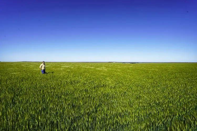 Sixth view of Homely rural property listing, 424 Challis Road, Pingrup WA 6343