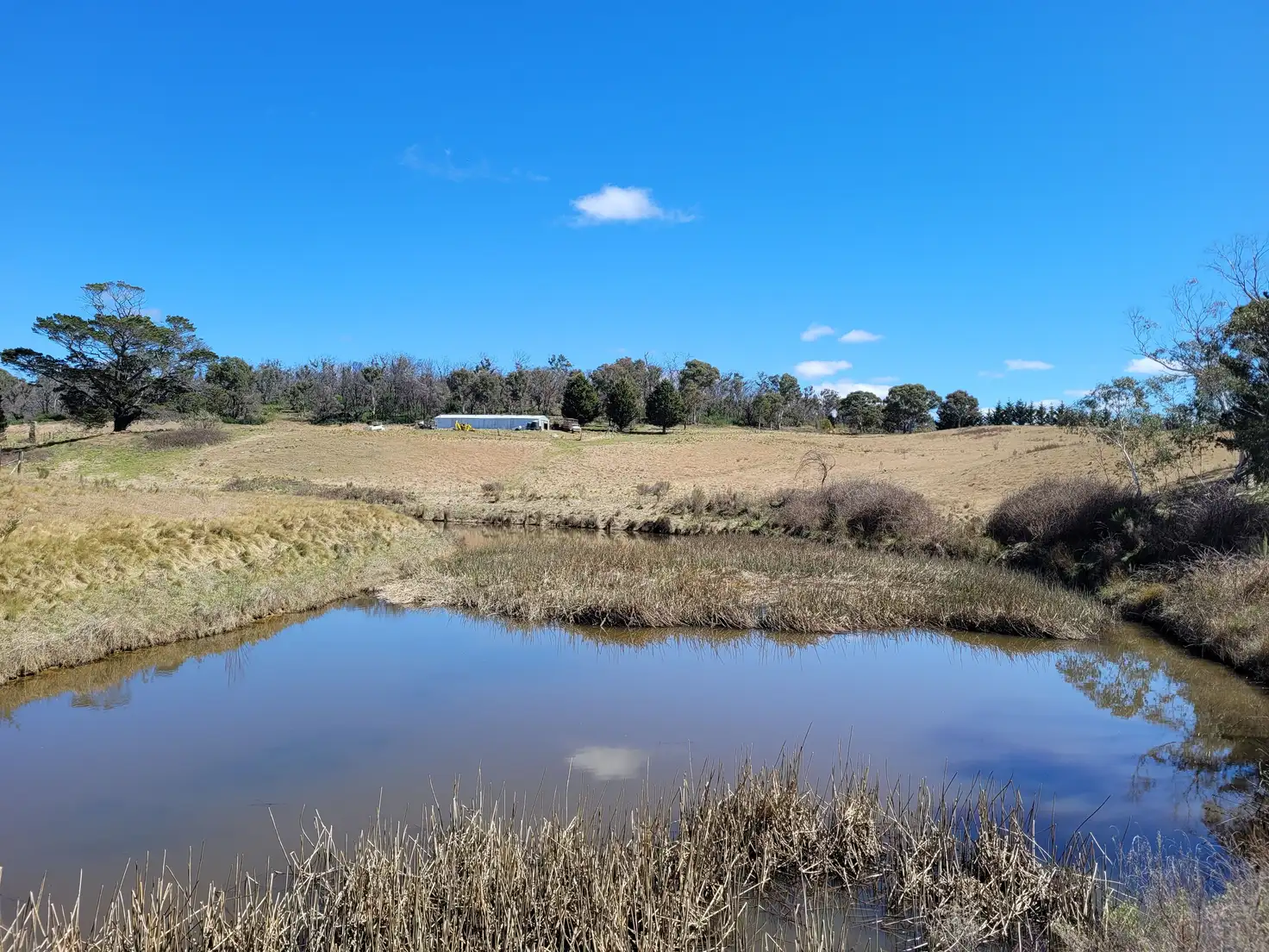 Main view of Homely rural property listing, 158A Haughtons Road, Tomboye NSW 2622