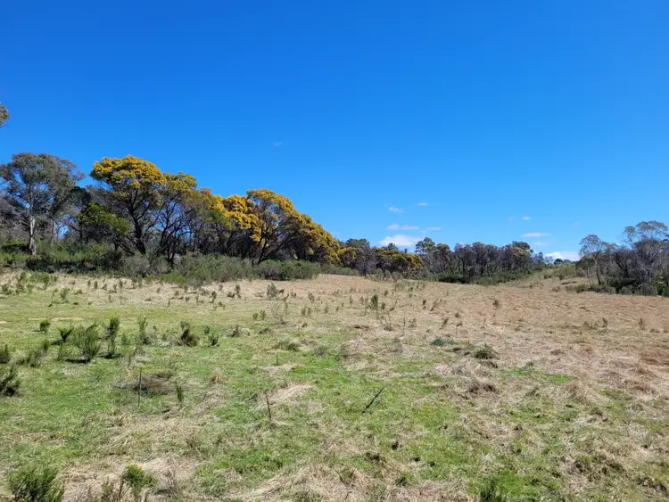 Second view of Homely rural property listing, 158A Haughtons Road, Tomboye NSW 2622