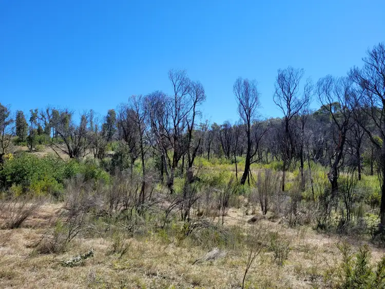 Third view of Homely rural property listing, 158A Haughtons Road, Tomboye NSW 2622