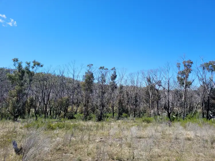 Fourth view of Homely rural property listing, 158A Haughtons Road, Tomboye NSW 2622