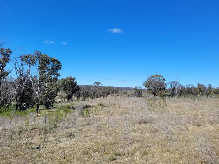 Fifth view of Homely rural property listing, 158A Haughtons Road, Tomboye NSW 2622