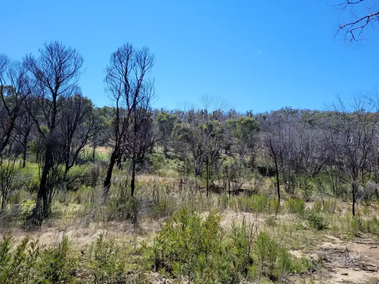 Sixth view of Homely rural property listing, 158A Haughtons Road, Tomboye NSW 2622