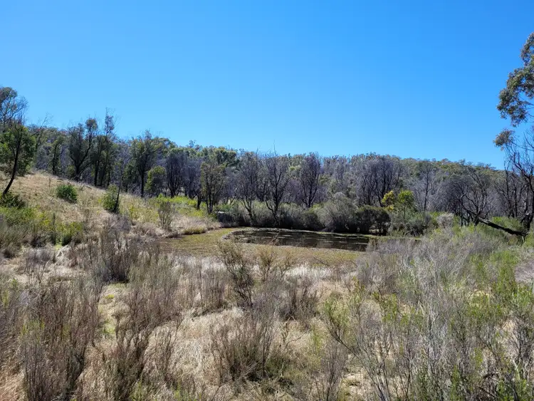 Seventh view of Homely rural property listing, 158A Haughtons Road, Tomboye NSW 2622