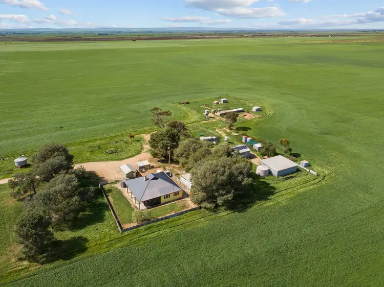 Main view of Homely rural property listing, 314 Windview Road, Snowtown SA 5520