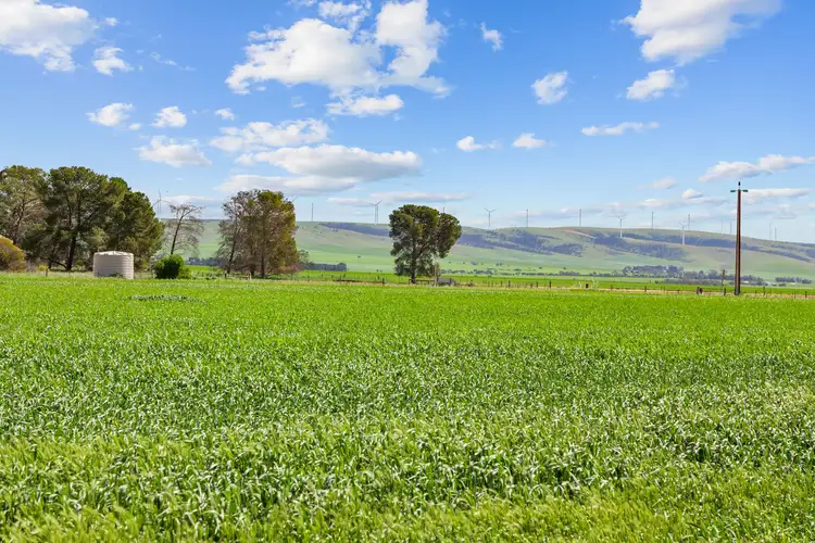 Second view of Homely rural property listing, 314 Windview Road, Snowtown SA 5520