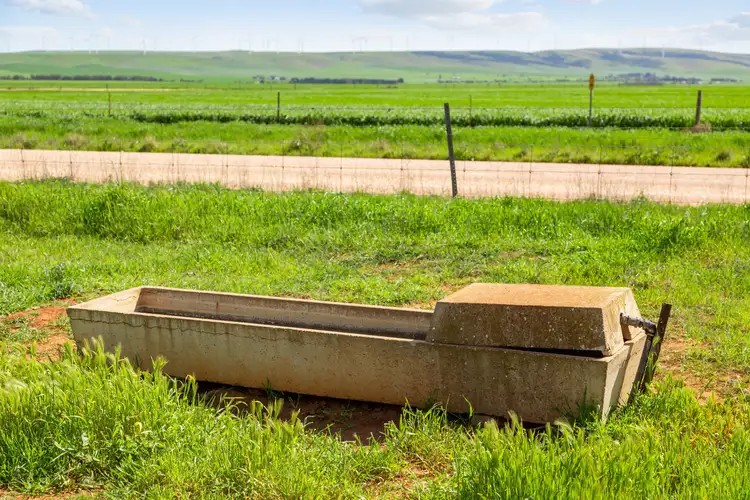 Fifth view of Homely rural property listing, 314 Windview Road, Snowtown SA 5520