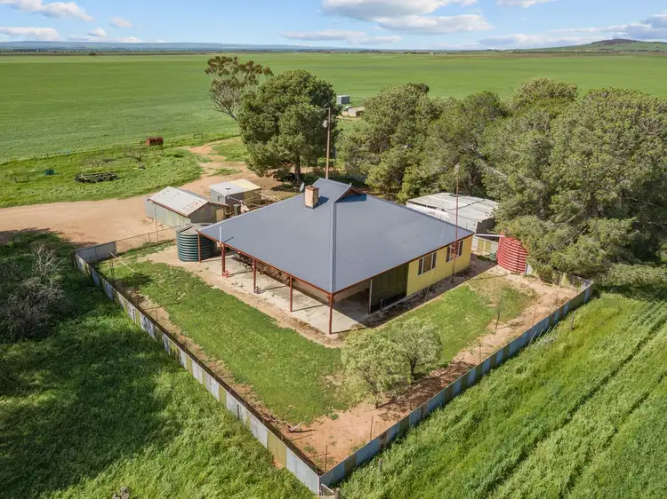 Sixth view of Homely rural property listing, 314 Windview Road, Snowtown SA 5520