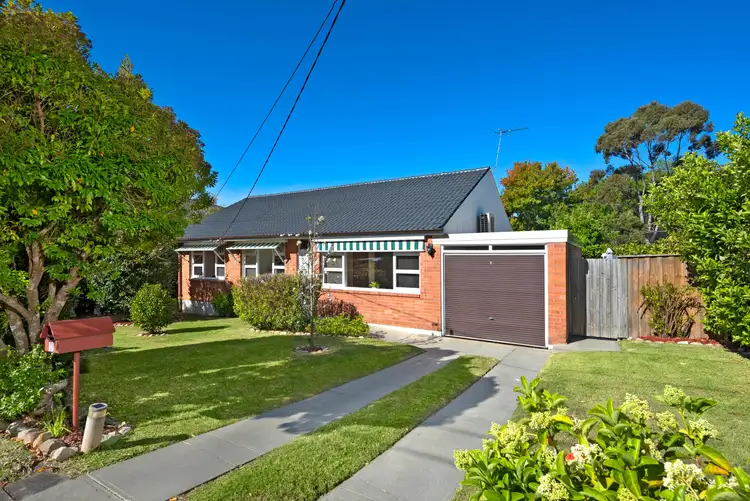 Second view of Homely house listing, 10 Calca Crescent, Forestville NSW 2087