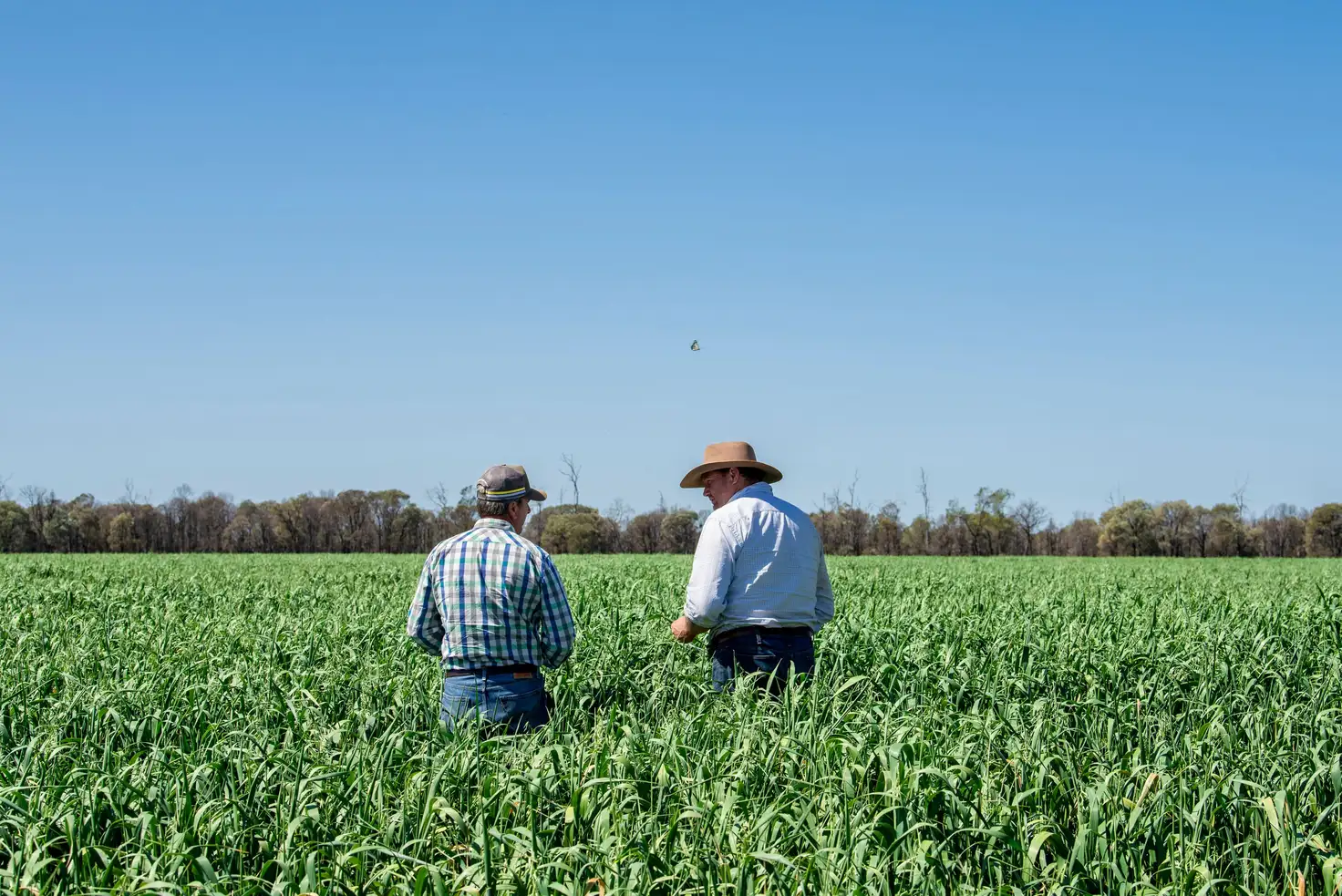 Main view of Homely rural property listing, Address available on request