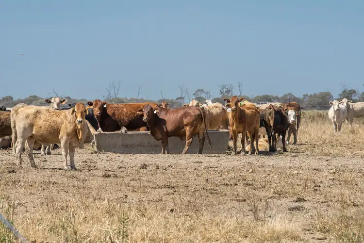 Sixth view of Homely rural property listing, Address available on request