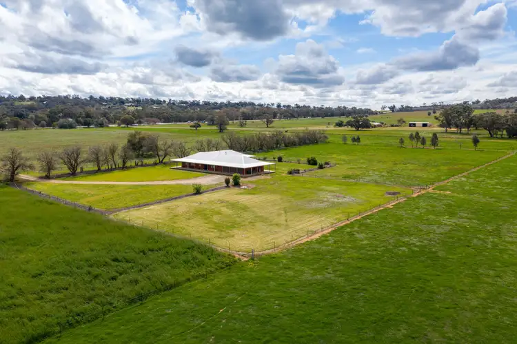 Second view of Homely rural property listing, 1556 Olympic Highway, Brucedale NSW 2650