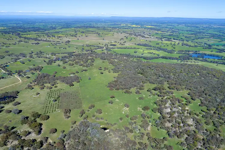 Seventh view of Homely rural property listing, 61 Moores Road, Springhurst VIC 3682