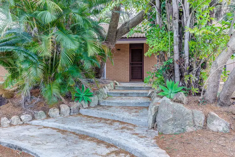 84 Juers Street, Kingston QLD 4114