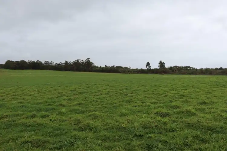Seventh view of Homely rural property listing, 5127 South Coast Highway, Denmark WA 6333
