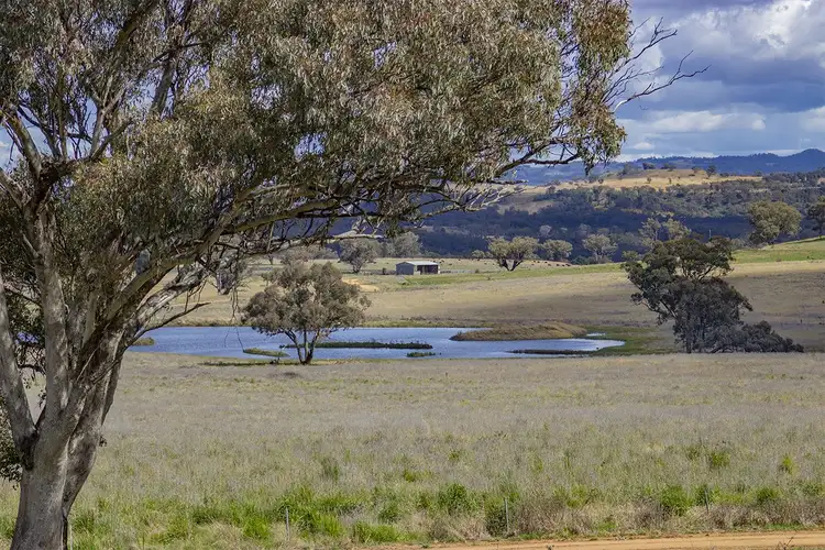 Main view of Homely rural property listing, 394 BINGIE GRUMBLE Road, Coonabarabran NSW 2357