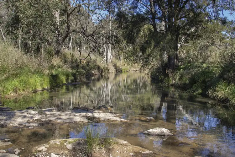 Sixth view of Homely rural property listing, 394 BINGIE GRUMBLE Road, Coonabarabran NSW 2357
