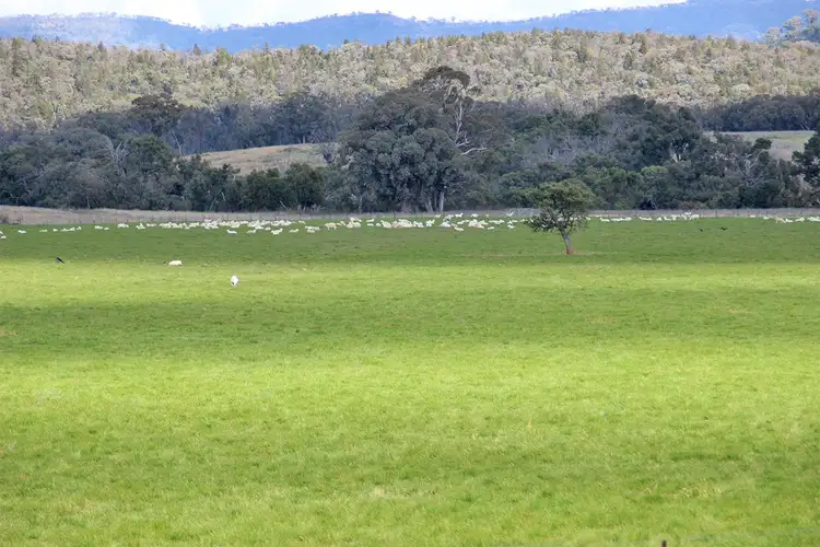 Seventh view of Homely rural property listing, 394 BINGIE GRUMBLE Road, Coonabarabran NSW 2357