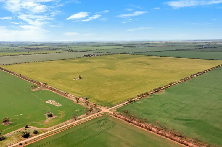Second view of Homely rural property listing, 'Weddings' Sichem Road, Balaklava SA 5461
