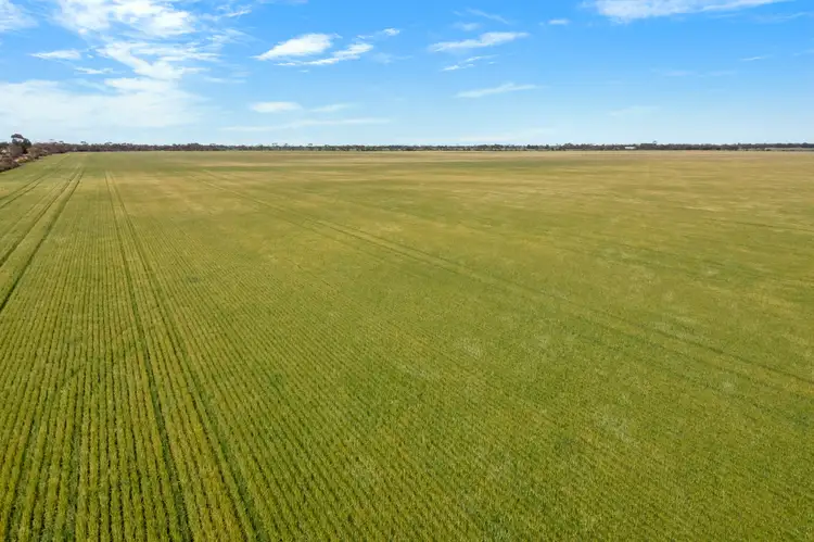 Fifth view of Homely rural property listing, 'Weddings' Sichem Road, Balaklava SA 5461