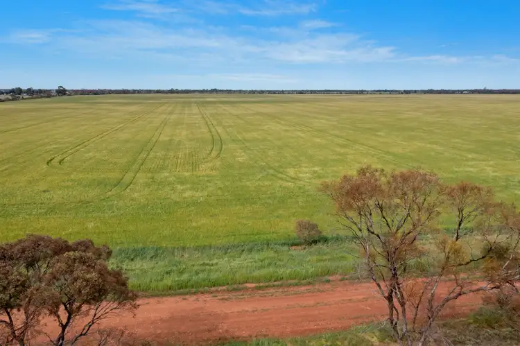 Sixth view of Homely rural property listing, 'Weddings' Sichem Road, Balaklava SA 5461