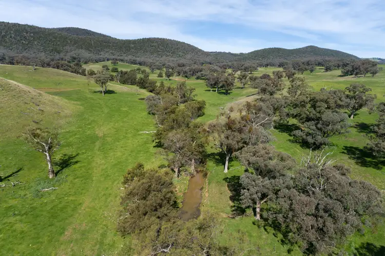 Fourth view of Homely rural property listing, 275 Paling Yards Loop, Orange NSW 2800
