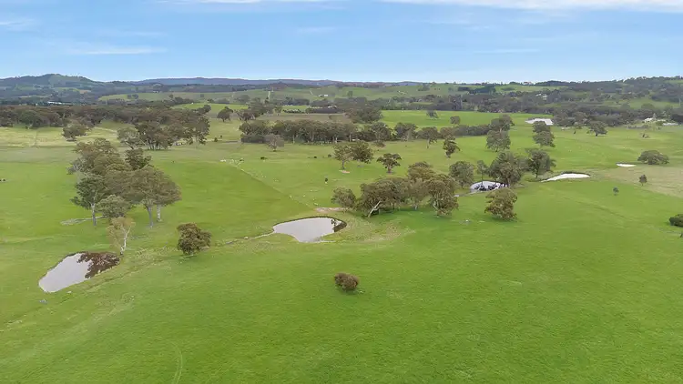 Seventh view of Homely rural property listing, 210B Martin Hill Road, Forreston SA 5233